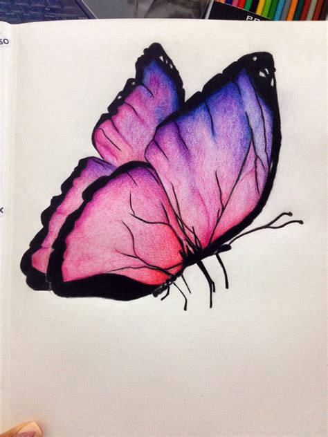 Butterfly Drawing Beautiful Drawings