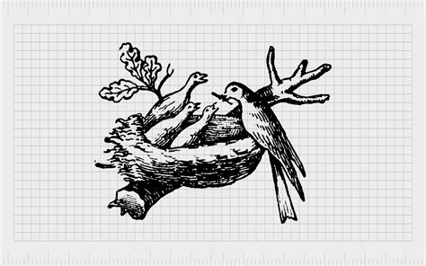 Nestlé Logo History: The Nestlé Symbol And Birds