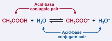 Essential Biochemistry