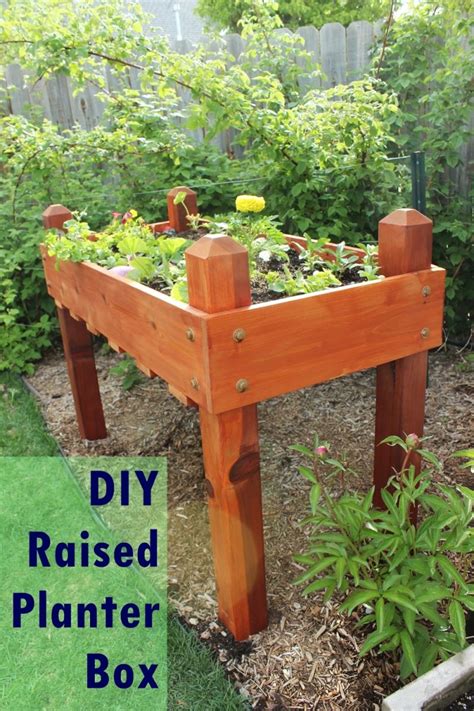 DIY Raised Planter Box – A Step-by-Step Building Guide