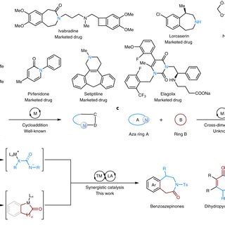 Examples of important N-heterocycles and our reaction design a, Natural ...