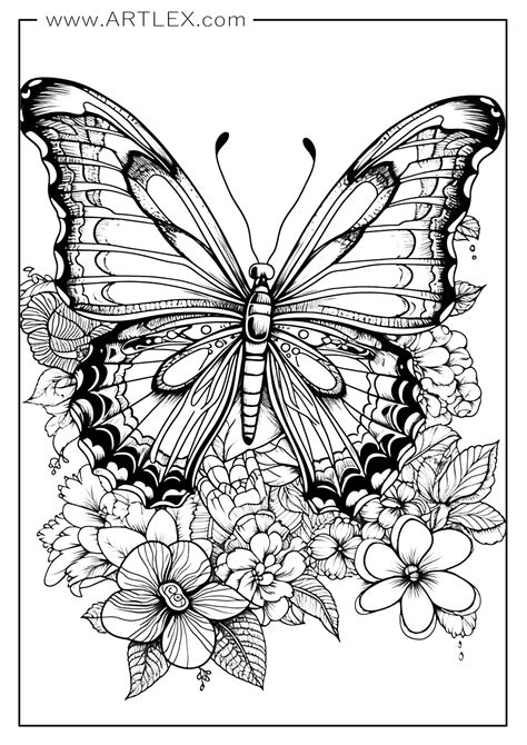 16 Best Butterfly Coloring Pages Free Printable Artlex