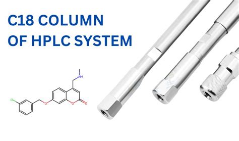 5 Types of HPLC Colum