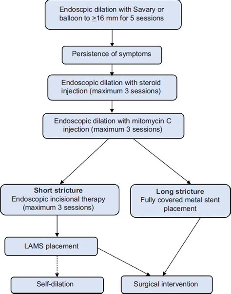 Esophageal Stricture Treatment