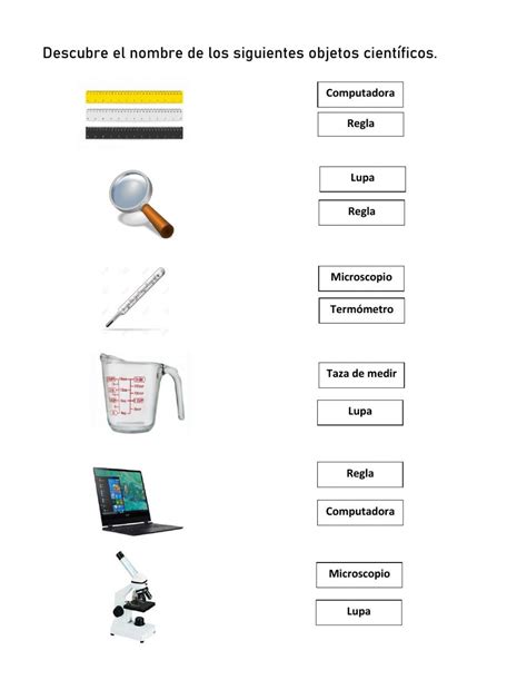 Instrumentos Cientificos worksheet