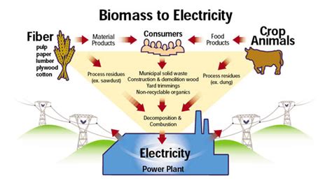 Biomass to Electricity | SIMCenter