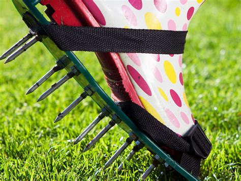 Aerate Lawn With Garden Fork | Fasci Garden