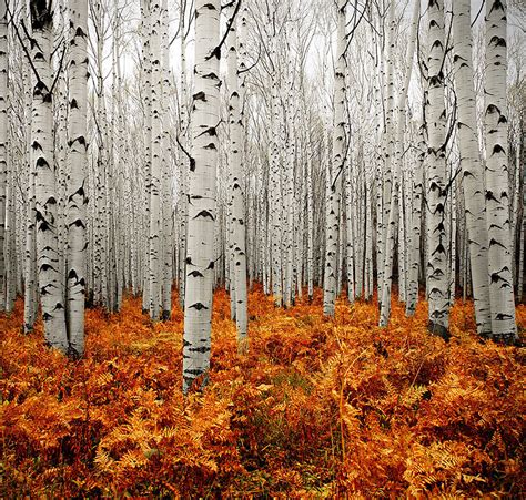 These 20+ Beautiful Autumn Photos Will Inspire You To Grab Your Camera ...