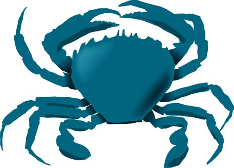 Blue crab clipart. Free download transparent .PNG | Creazilla