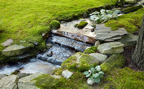 Moss Rock Garden Design | Fasci Garden