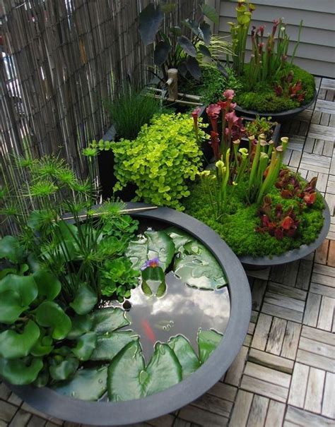 Nice 30+ DIY Mini Ponds in a Pot https://gardenmagz.com/30-diy-mini ...