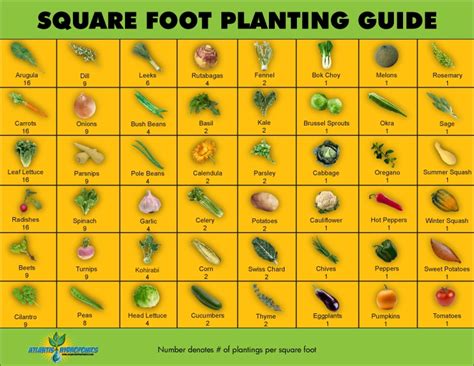 Fall Square Foot Garden Plan - all about hobby