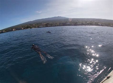 Find The Best Snorkeling Spots with Guided Snorkel Tours of Kona