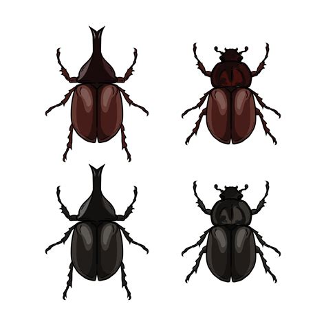 vector rhinoceros beetle, hercules beetle, unicorn beetle, horned ...