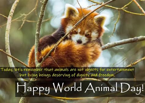 World Animal Day Quotes In English