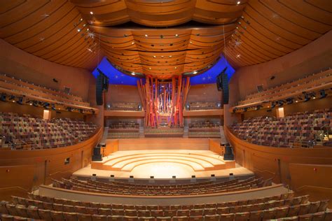 Walt Disney Concert Hall Architect