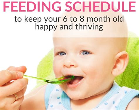 Super Easy Feeding Schedule for 6 to 8-Month Old Babies to Keep Them ...