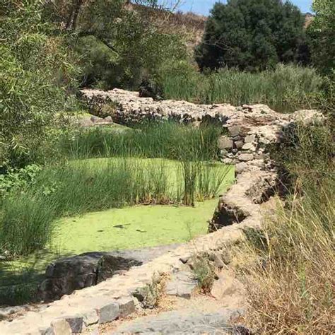 Father Junipero Serra Trail/Old Mission Dam Run - San Diego, California ...