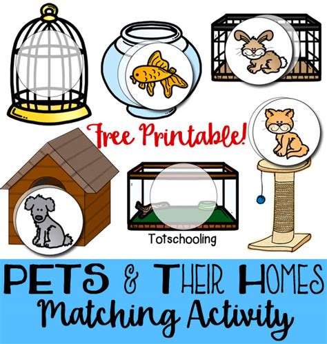 Pets & Their Homes Matching Activity | Totschooling - Toddler ...