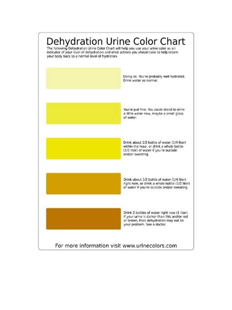 Hydration Chart