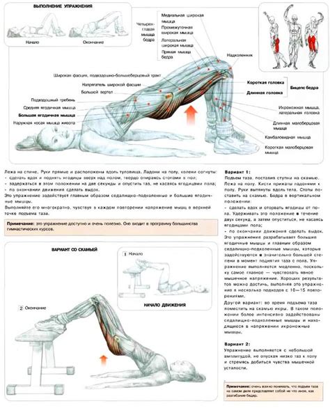 The 25+ best L5 s1 exercises ideas on Pinterest | Spinal nerve ...