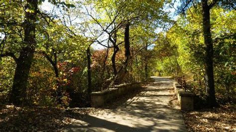 8 of the Best Austin Hiking Trails, TX, SA - Flavorverse