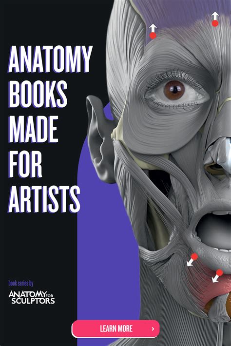 Anatomy For Sculptors | Anatomy Book Series For Artists | Anatomy ...