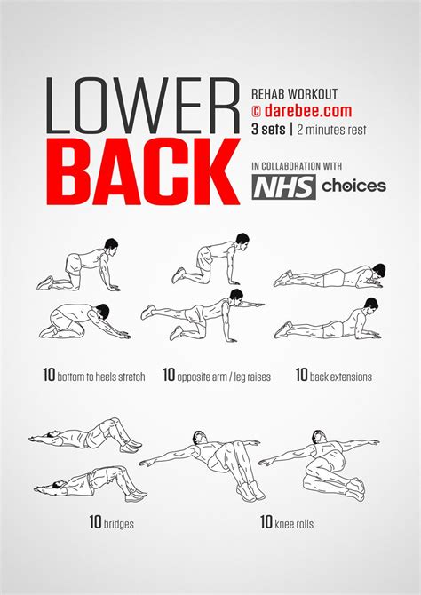 Lower Back Workout | Lower back exercises, Back exercises, Workout rehab