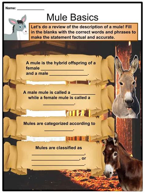 Mule Facts, Worksheets, Habitat, Characteristics & Diet For Kids