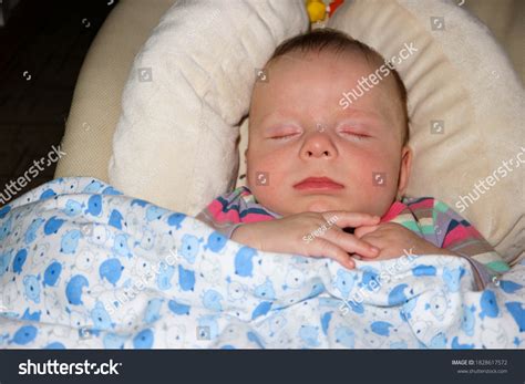 Baby Child Infant Funny Sleeping Bed Stock Photo 1828617572 | Shutterstock