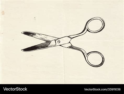 Sewing scissors Royalty Free Vector Image - VectorStock