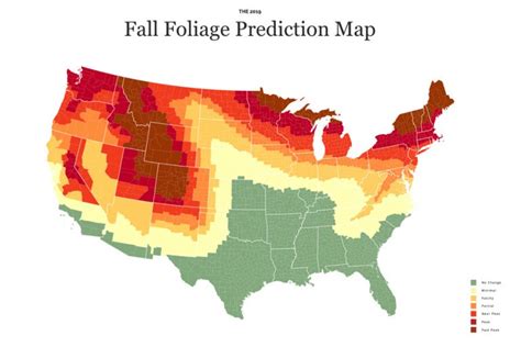 New England Fall Foliage Peak 2024 - Celie Mercedes