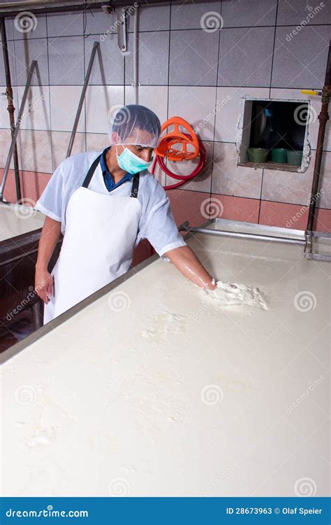 Cheese fermentation stock image. Image of fermentation - 28673963