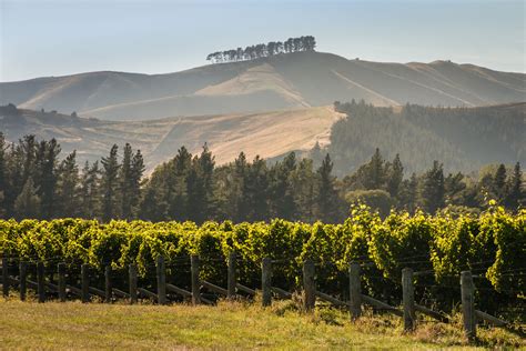 New Zealand Wine Regions: It’s (almost) Official! – Wine, Wit, and Wisdom