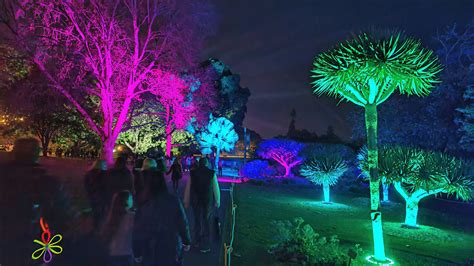 Photo: 2023 06 10 44 Vivid Sydney Lightscape in the Botanical Gardens ...