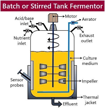 Fermentation Diagram