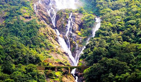 10 Best waterfalls in Goa - Tusk Travel