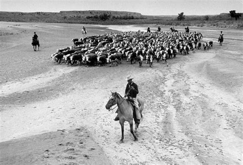 Cowboys: See Vintage LIFE Photos of American Cowboys