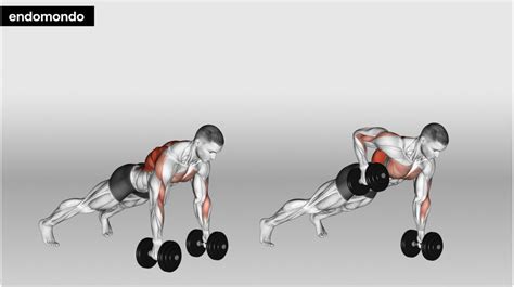 Upper Back Exercises: Benefits & Tips To Improved Strength 2024