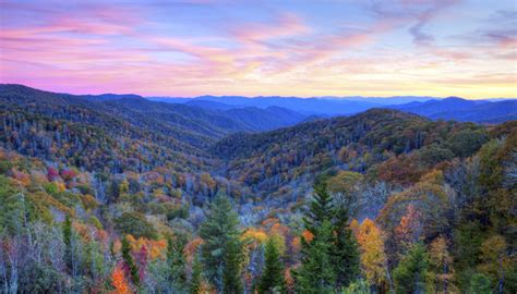 Smoky Mountains Fall Foliage