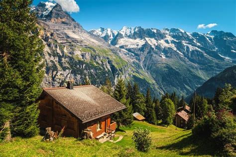 Enchanting Wooden Houses Amidst Snowy Mountains