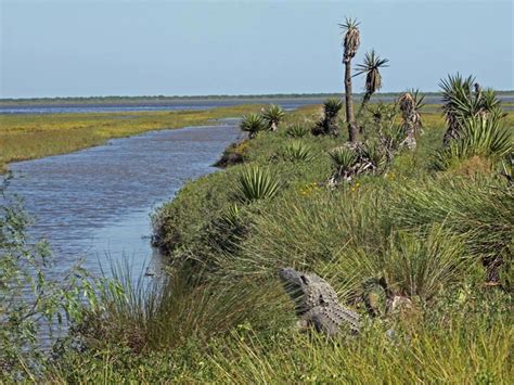 Laguna Atascosa National Wildlife Refuge, a Texas National Wildlife ...