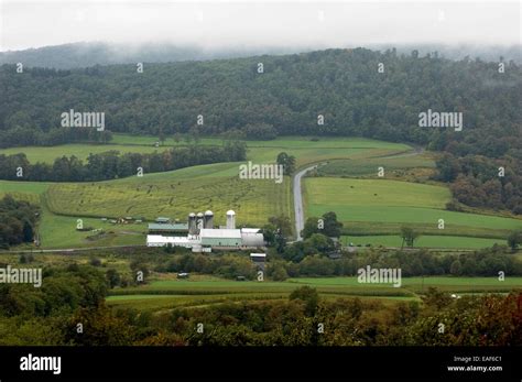 Corn maze farm Stock Photo - Alamy