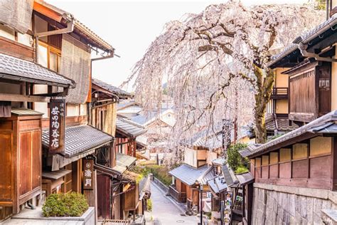 The Best Spots to Catch Kyoto’s Cherry Blossoms