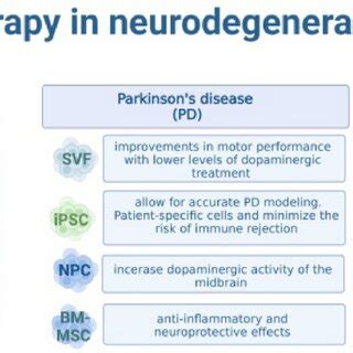 Division of stem cells based on differentiation potential. Stem cells ...