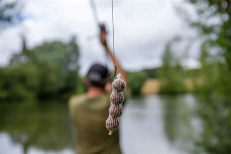 10 Simple Carp Fishing Rigs: Step-by-Step Guide for Success