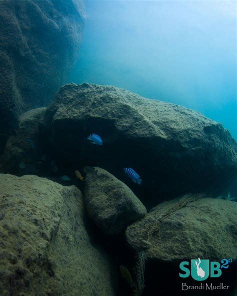 Diving Lake Malawi | Scuba Diving Blog