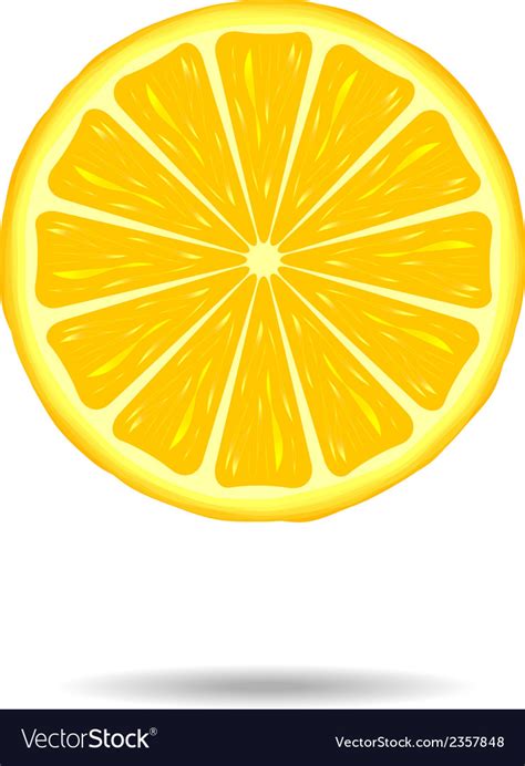 Lemon slice Royalty Free Vector Image - VectorStock