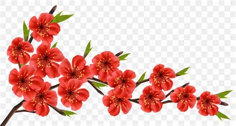 Flowery Branch Clip Art, PNG, 5054x2706px, Flower, Blossom, Branch ...