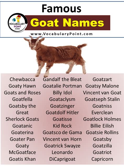 450+ Best Goat Names (Pet, Cute & Funny) - Vocabulary Point